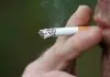 Acheter sa propre machine à tuber les cigarettes pour faire des économies