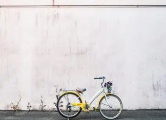 Pourquoi passer au vélo électrique sur Paris ? Pourquoi passer au vélo électrique sur Paris ?