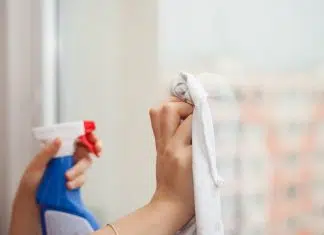 Quels sont les avantages de faire recours à une société de nettoyage ? Quels sont les avantages de faire recours à une société de nettoyage ?